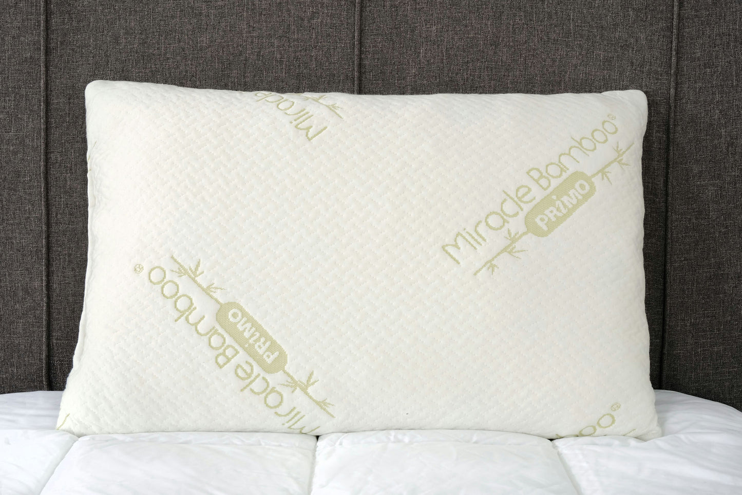 Spectacle Shredded Memory Foam Pillow