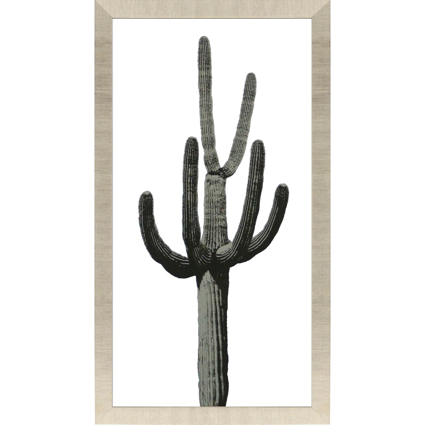 Paragon Saguaro III