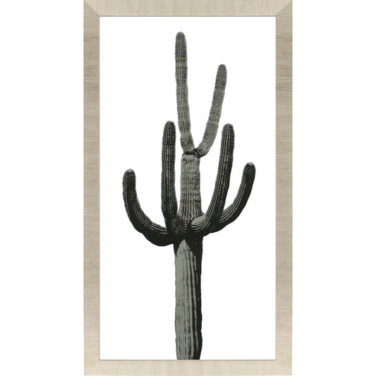 Paragon Saguaro III