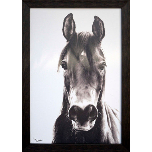 Paragon Horse Portrait