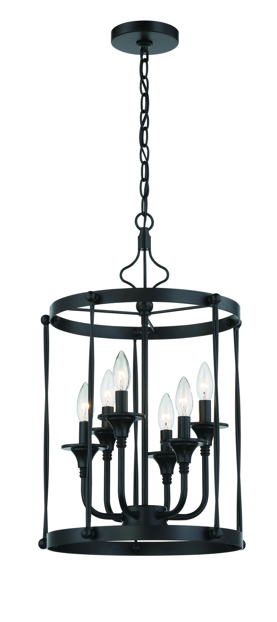 Jolenne 6 Light Cage Foyer Pendant - FB