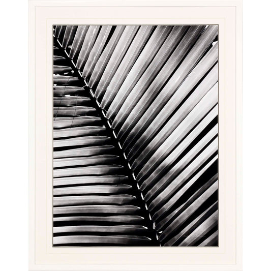 Paragon Palm Frond I