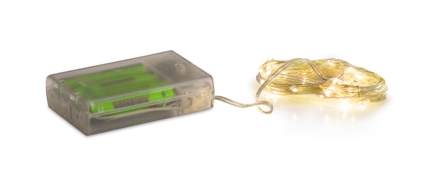 Mini Led String Light W/Timer (Set Of 6) X40 Lights