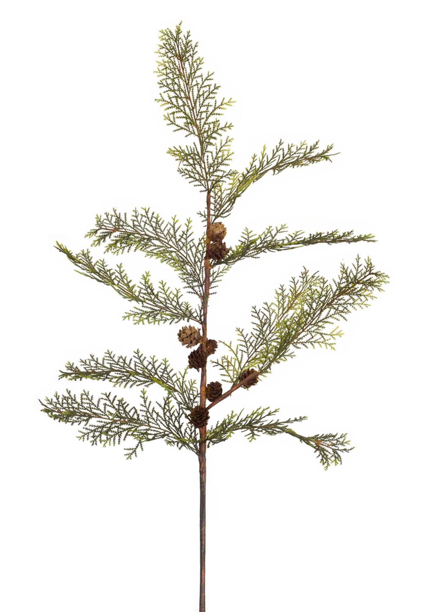 Cypress Spray W/Cone (Set Of 6 )26"H Plastic