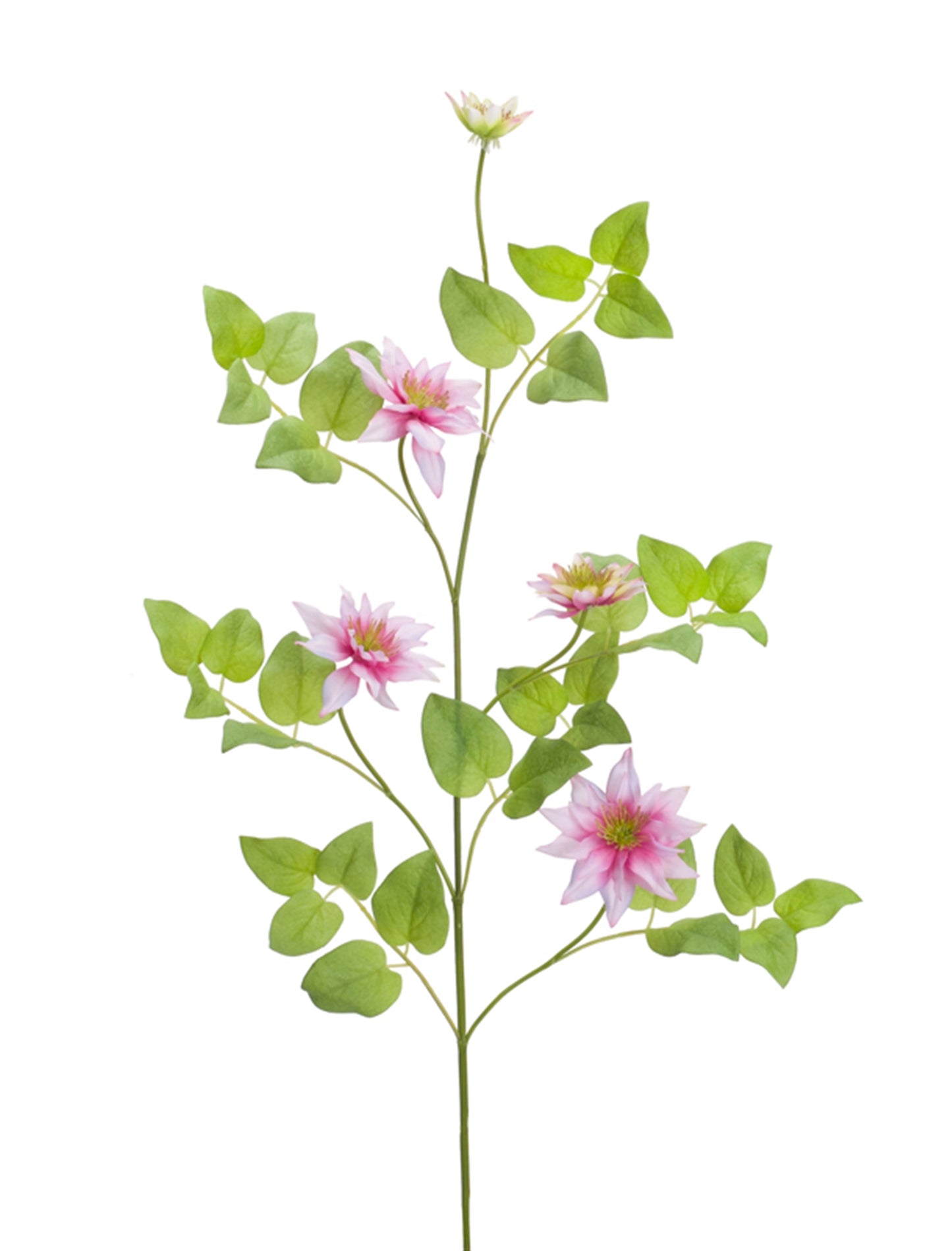 Clematis Vine (Set Of 12) 30"L Polyester/Plastic