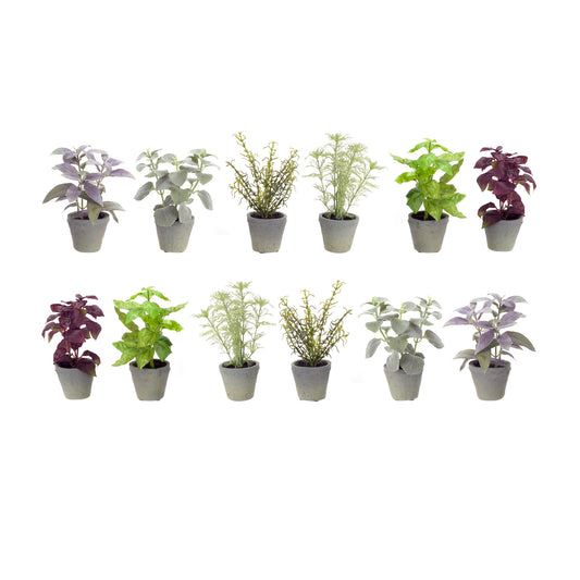 Potted Herb (Set Of 12) 7"H Polyester/Plastic