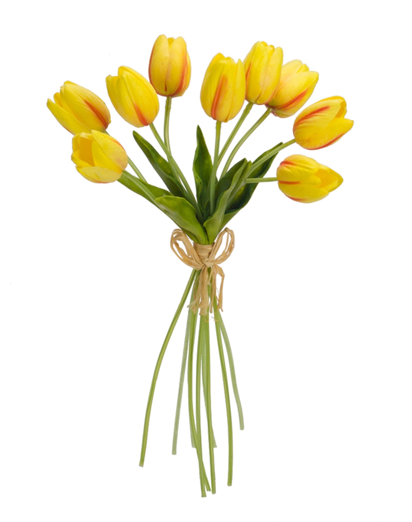 Tulip Bundle (Set Of 6) 15"H, Yellow