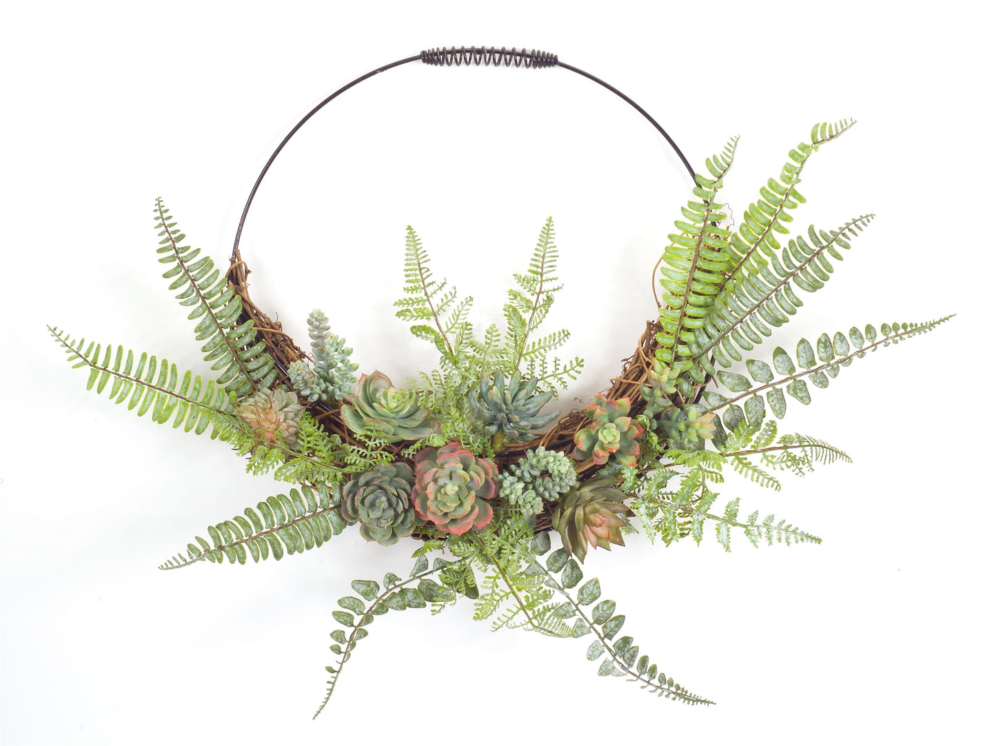 Fern And Succulent Wall Decor 24.5" x 19.25"H Plastic/Wire