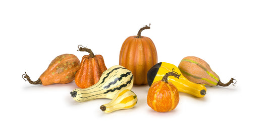 Pumpkin/Gourd (Set Of 8) 4.75"H - 7"H Foam