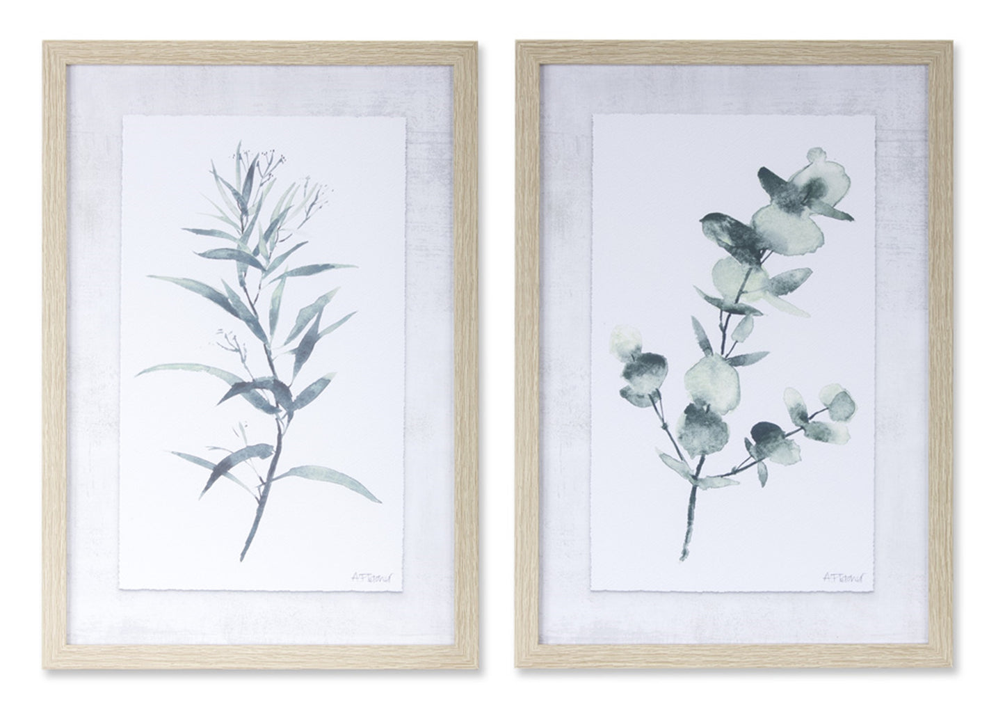 Eucalyptus Print (Set Of 2) 12.75" x 18.25"H Plastic/Mdf