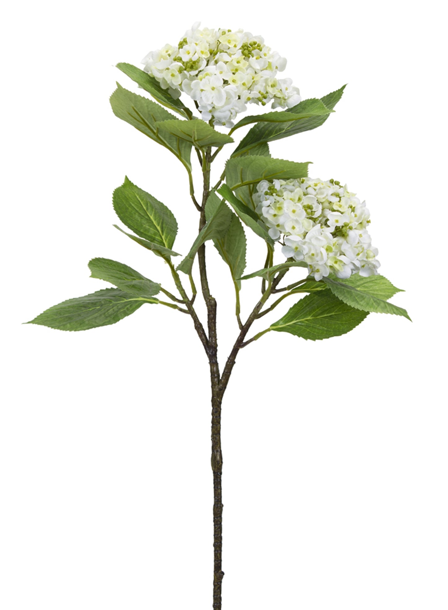 Hydrangea Branch (Set Of 6) 32"H Polyester, White, Green, Brown