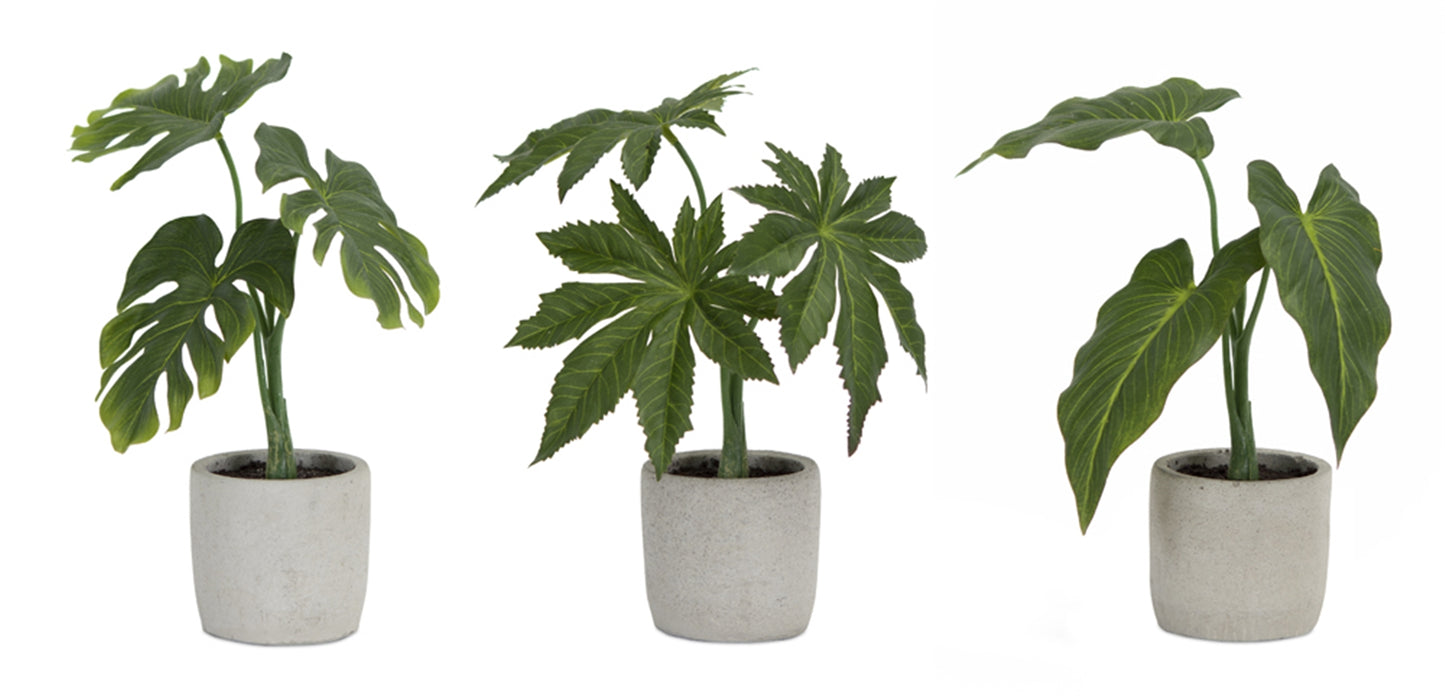Potted Foliage (Set Of 6) 10"H, 10.5"H, 11.5"H Polyester/Plastic