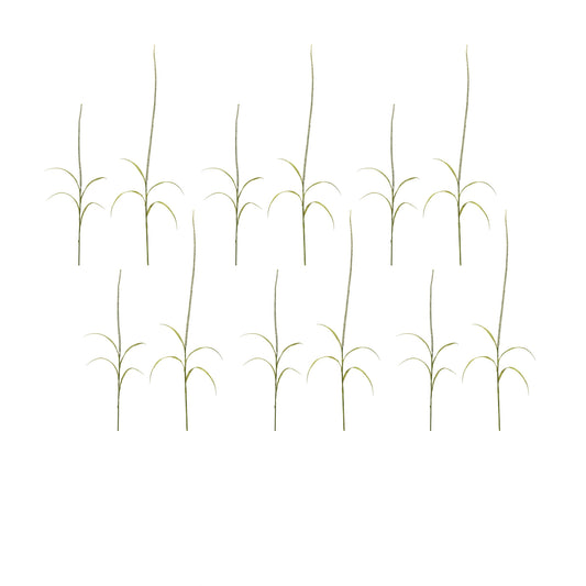 Foxtail (Set Of 12) 39"H, 52"H Plastic
