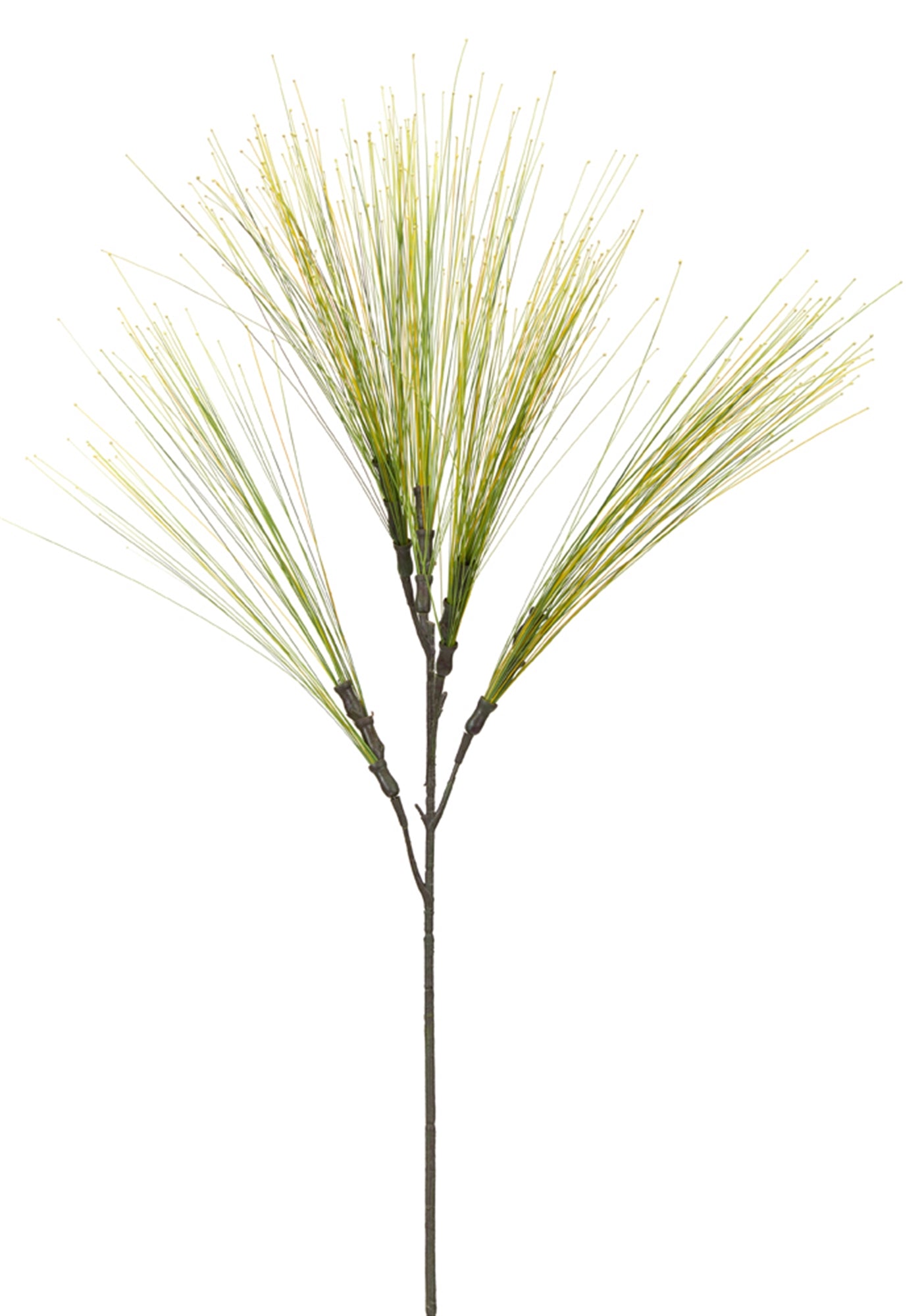 Grass Bush (Set Of 12) 29"H Plastic