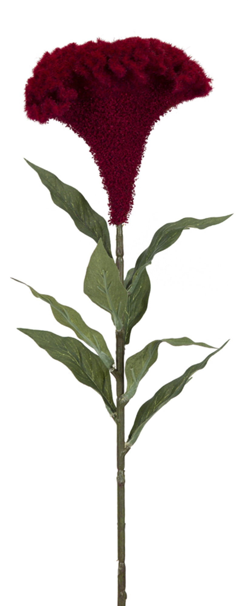 Celosia (Set Of 12) 27"H Plastic/Polyester