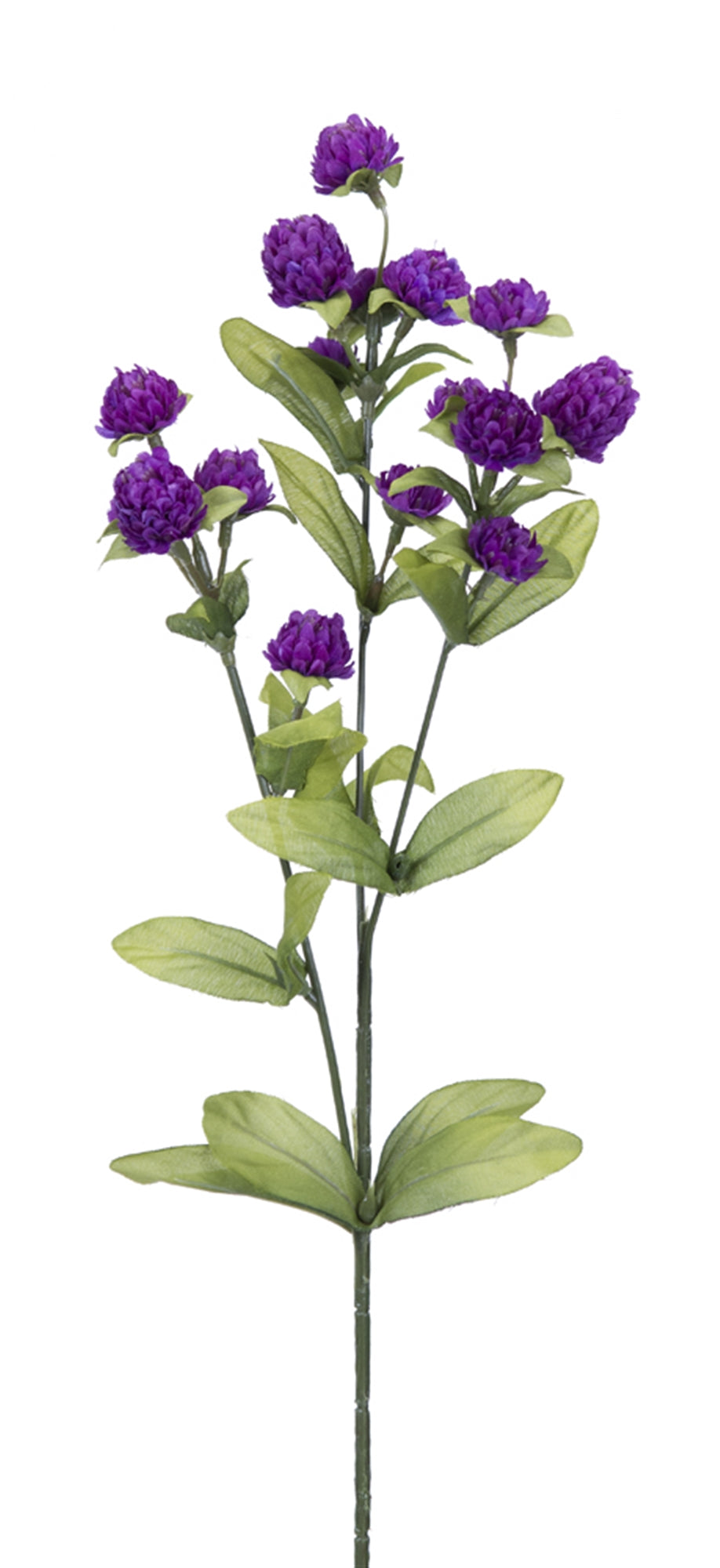 Wild Clover (Set Of 12) 27"H Plastic