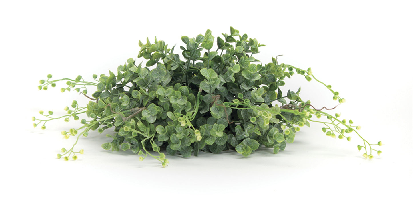Boxwood Half Orb (Set Of 6) 10"D Plastic