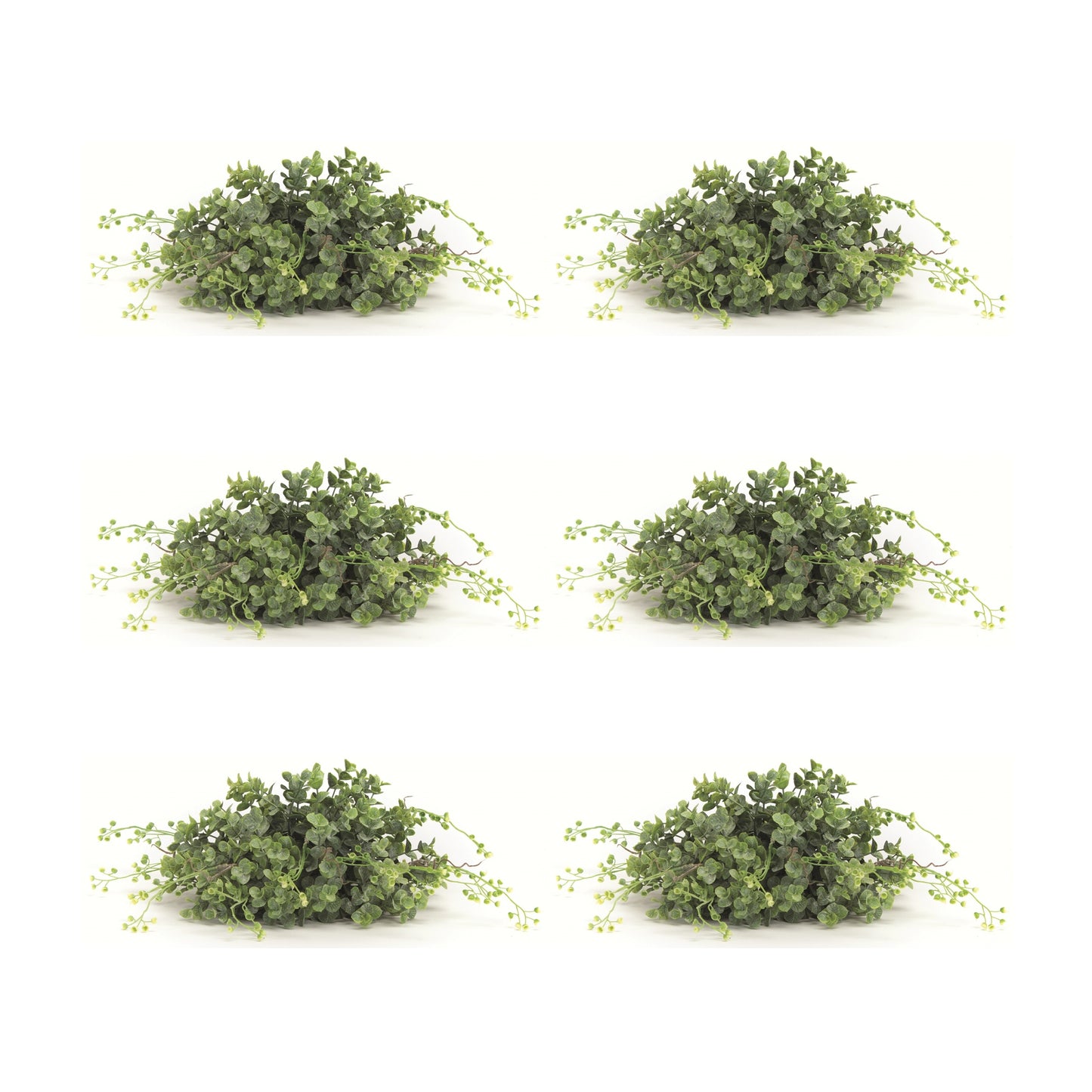 Boxwood Half Orb (Set Of 6) 10"D Plastic
