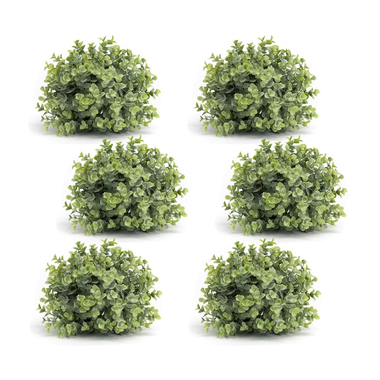 Boxwood Half Orb (Set Of 6) 7"D x 8"H Plastic