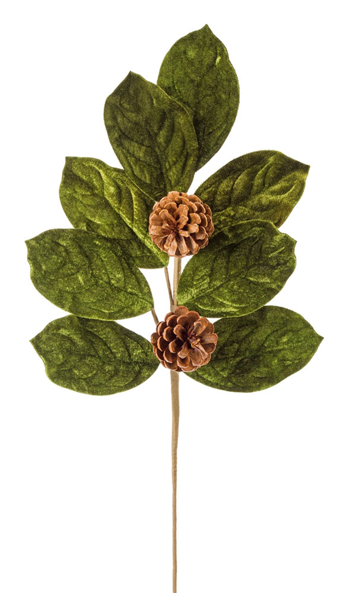 Magnolia Leaf/Cone Spray 27"H (Set Of 6) Velvet