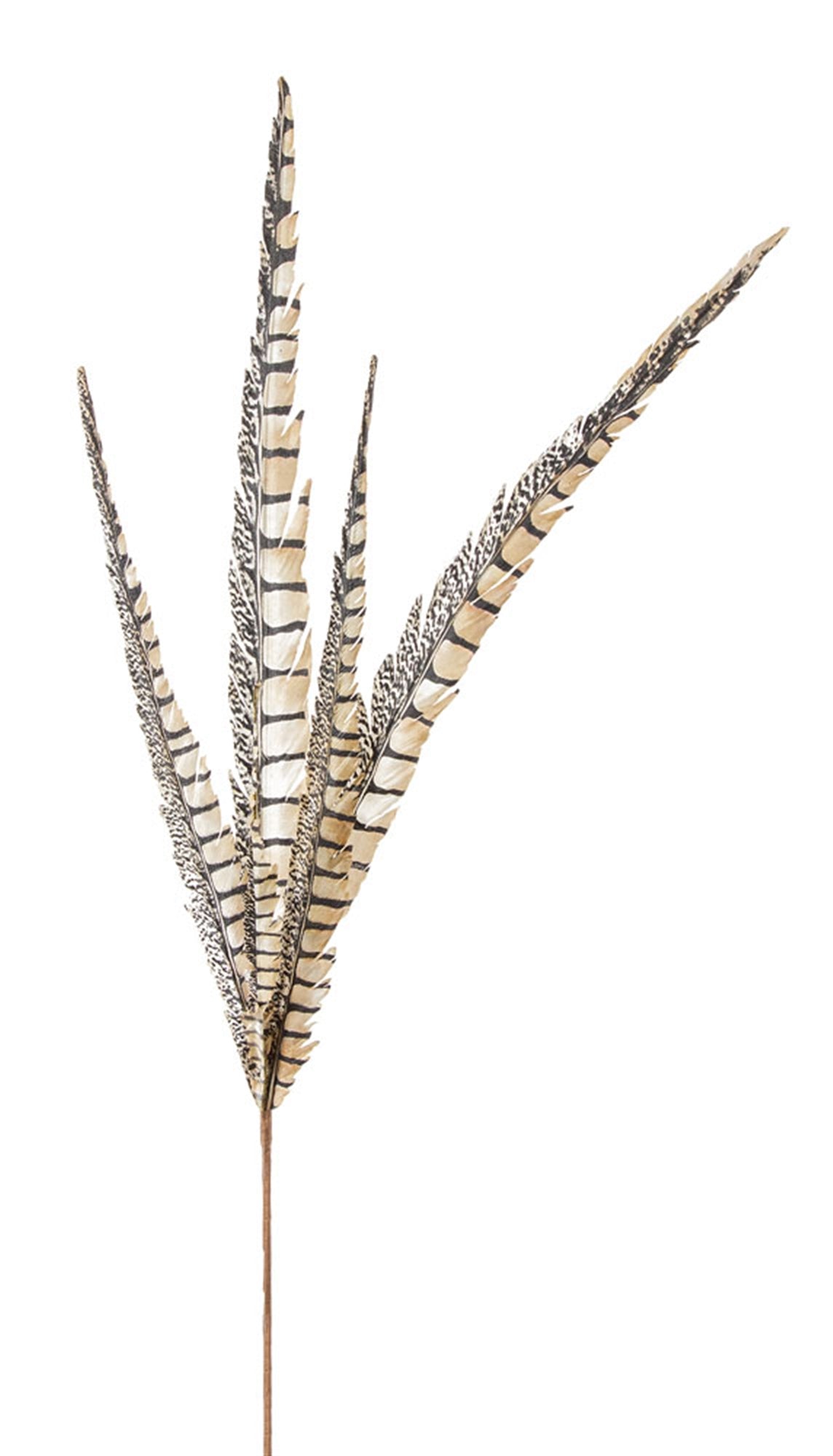 Faux Feather 29"H (Set Of 12) Polyester
