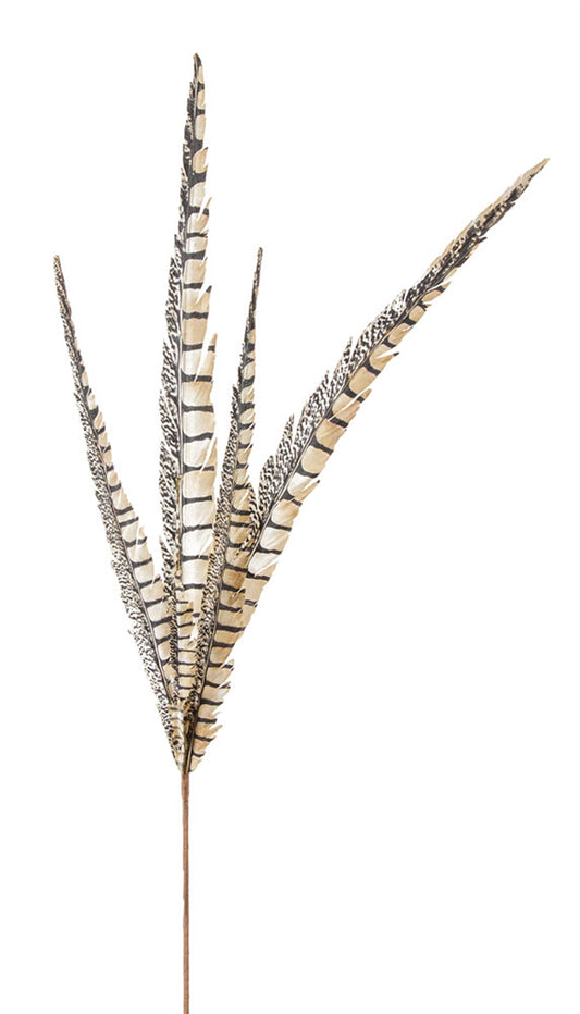Faux Feather 29"H (Set Of 12) Polyester