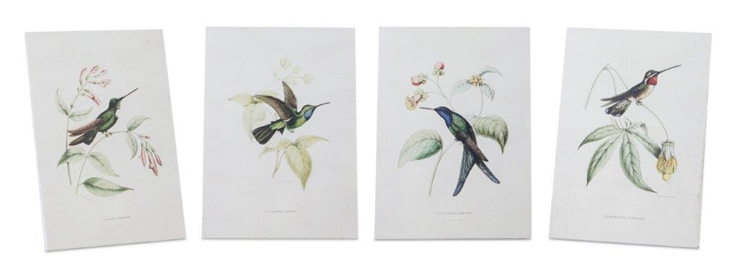 Hummingbird Print (Set Of 4) 5.5"L x 8"H Wood/Mdf/Paper