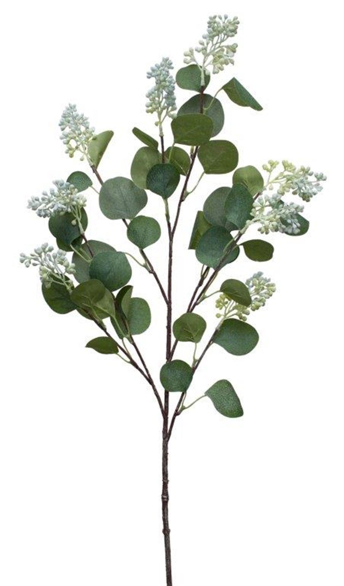 Seeded Eucalyptus Spray (Set Of 4) 37"H Polyester/Plastic