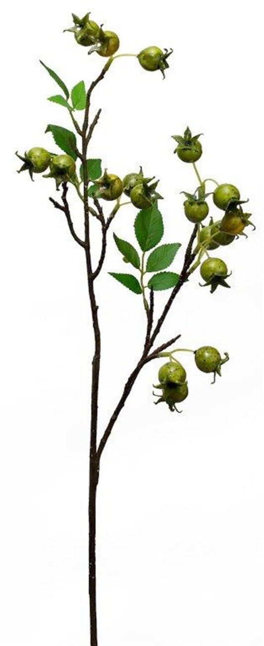 Rose Hip Spray (Set Of 4) 33.75"H Foam/Plastic