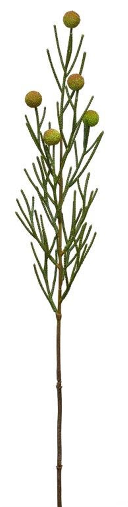 Brunia Ball Spray (Set Of 4) 27.75"H Plastic