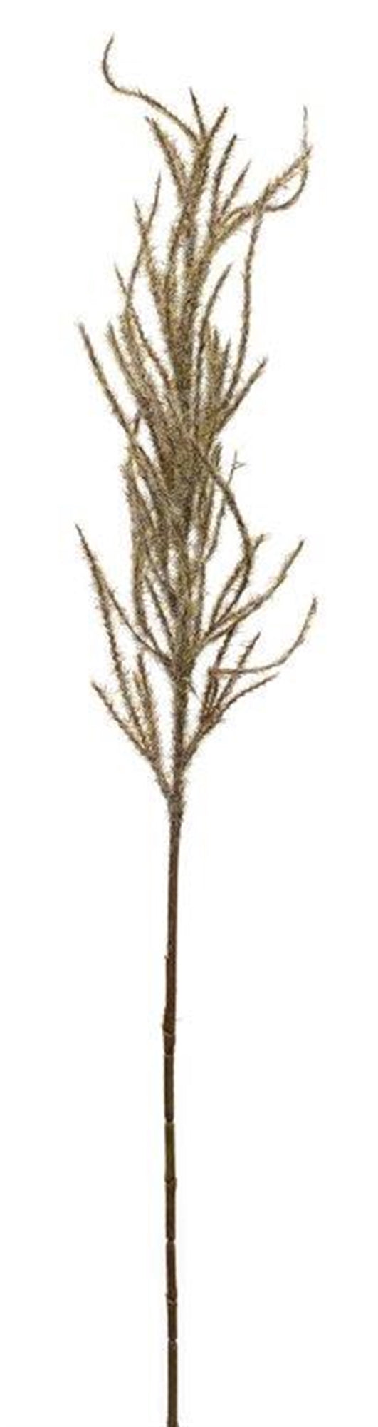 Flocked Pampas Spray (Set Of 4) 31"H Plastic