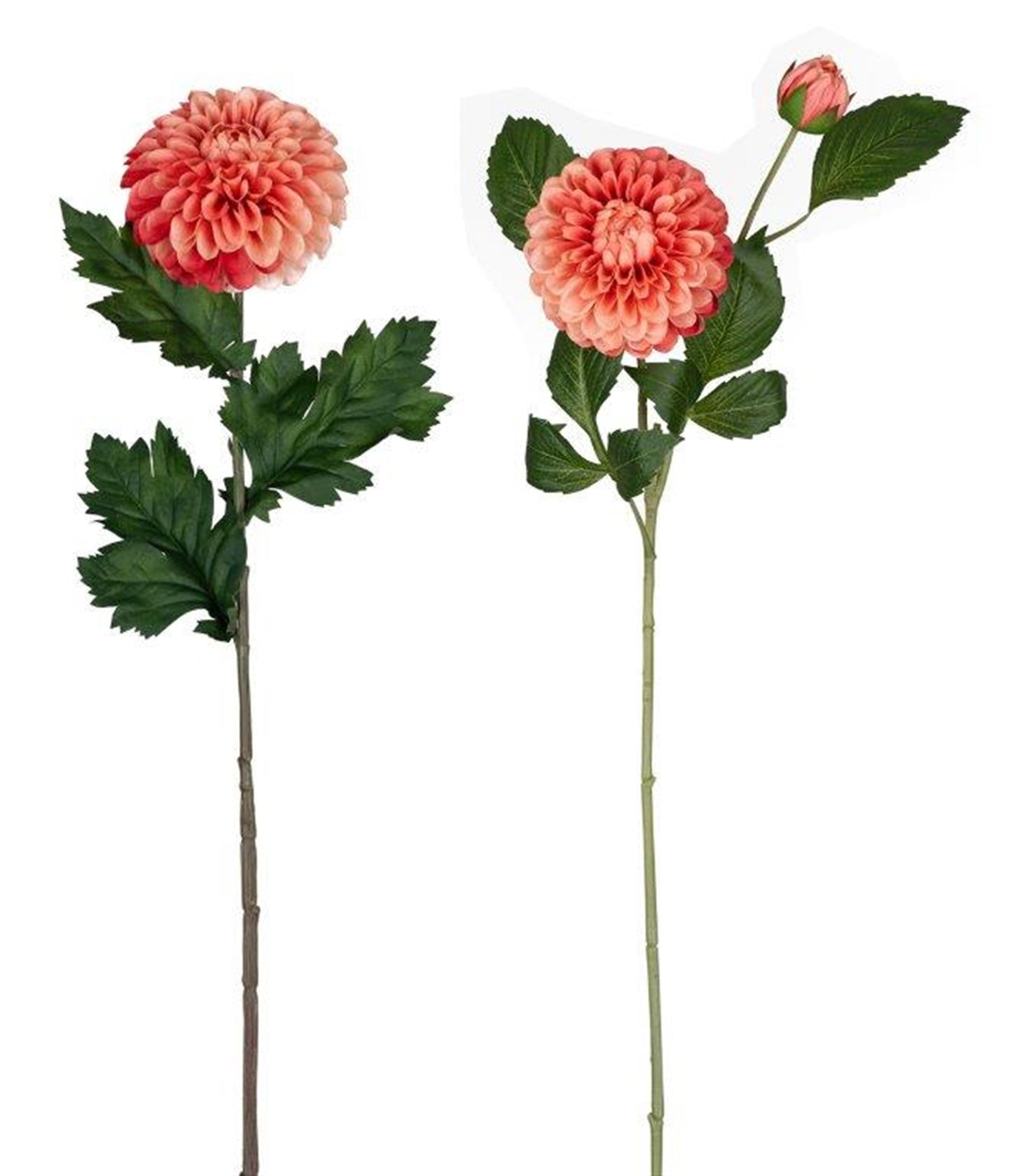 Dahlia (Set Of 4) 24"H, 29"H Polyester