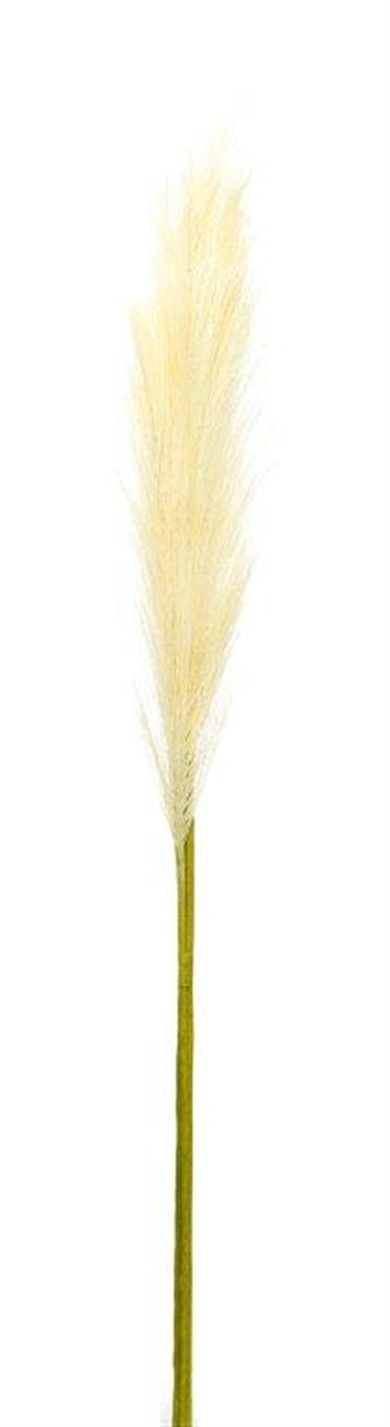 Pampas Spray (Set Of 4) 30"H Polyester