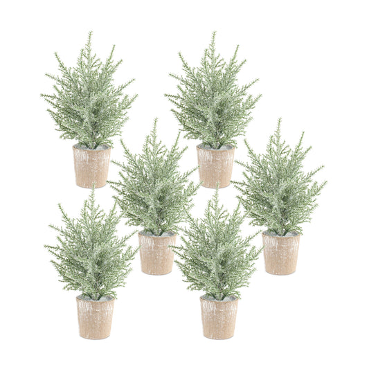 Potted Icy Pine Tree (Set Of 6) 12"H Plastic/Paper
