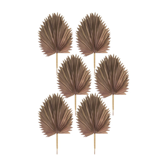 Fan Palm Leaf (Set Of 6) 42"H Natural Palm, Brown