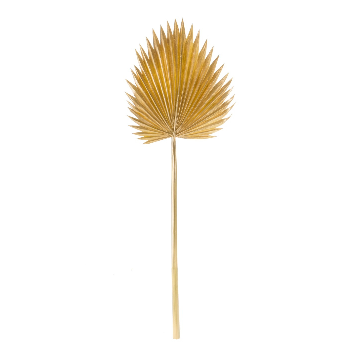Fan Palm Leaf (Set Of 6) 37"H Plastic