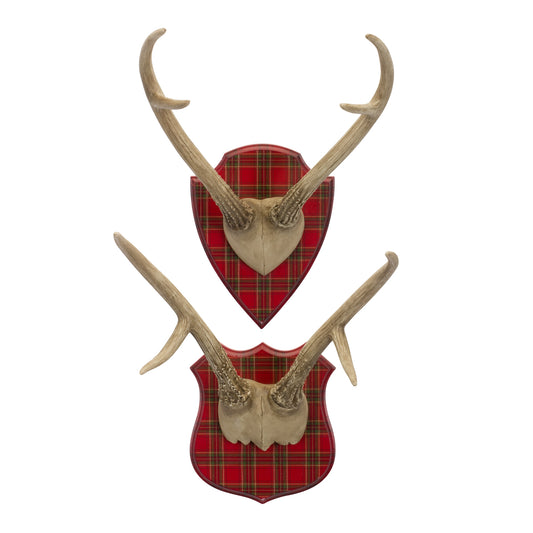 Antler Mount (Set Of 2) 17.5"H Resin/Mdf