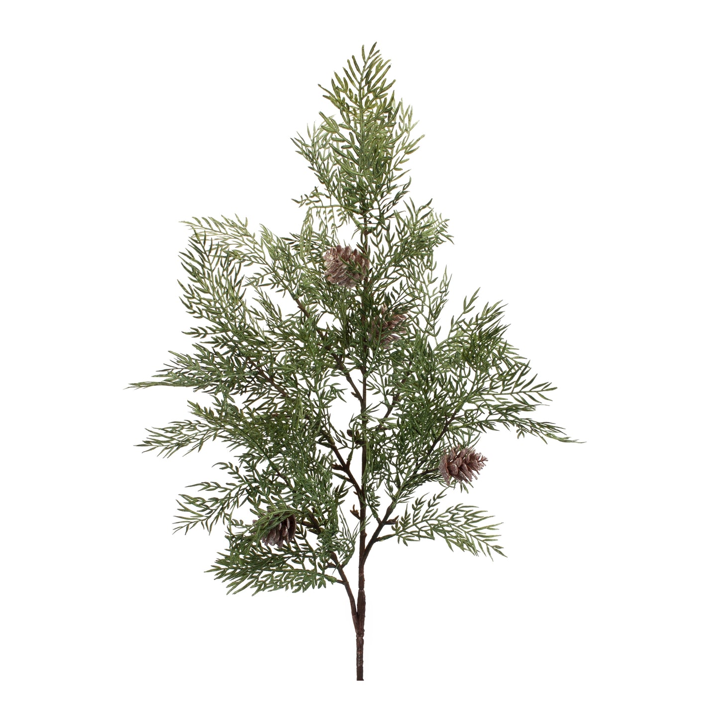 Cedar W/Cone Spray (Set Of 6) 42"H Plastic
