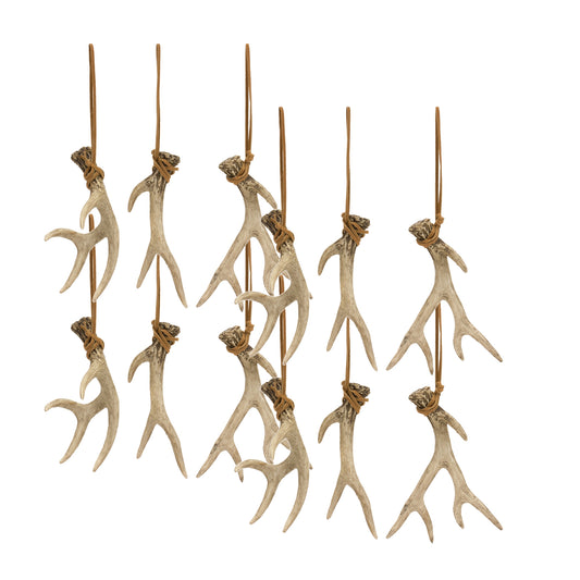 Antler (Set Of 12) 5"H Resin