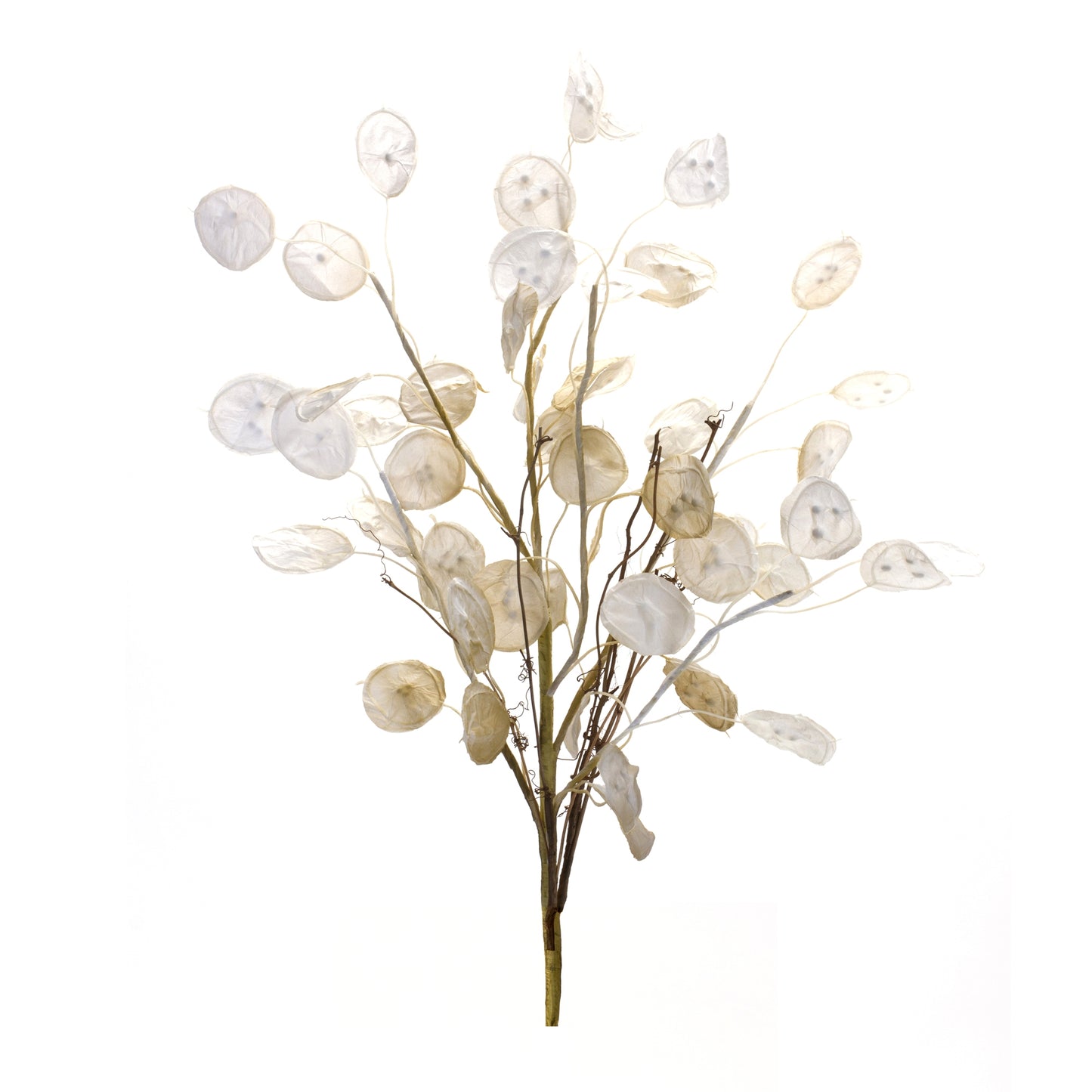 Silver Dollar Spray (Set Of 6) 31.5"H Fabric