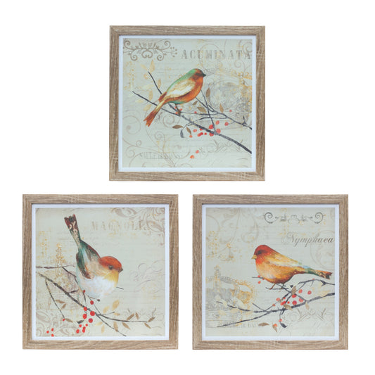 Framed Bird Print (Set Of 3) 10"Sq Mdf/Plastic/Paper