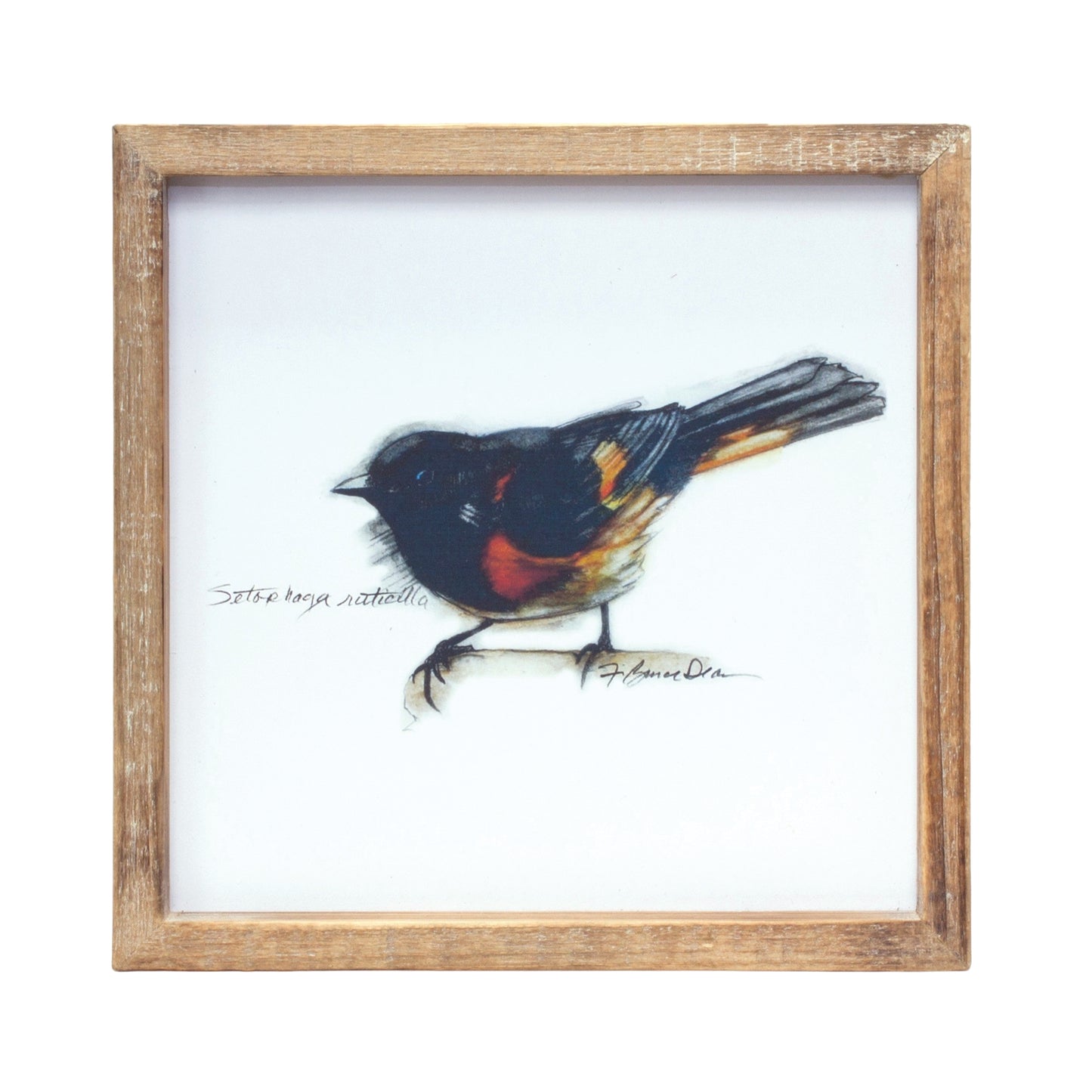 Framed Bird Print (Set Of 4) 9.5"Sq Mdf/Wood