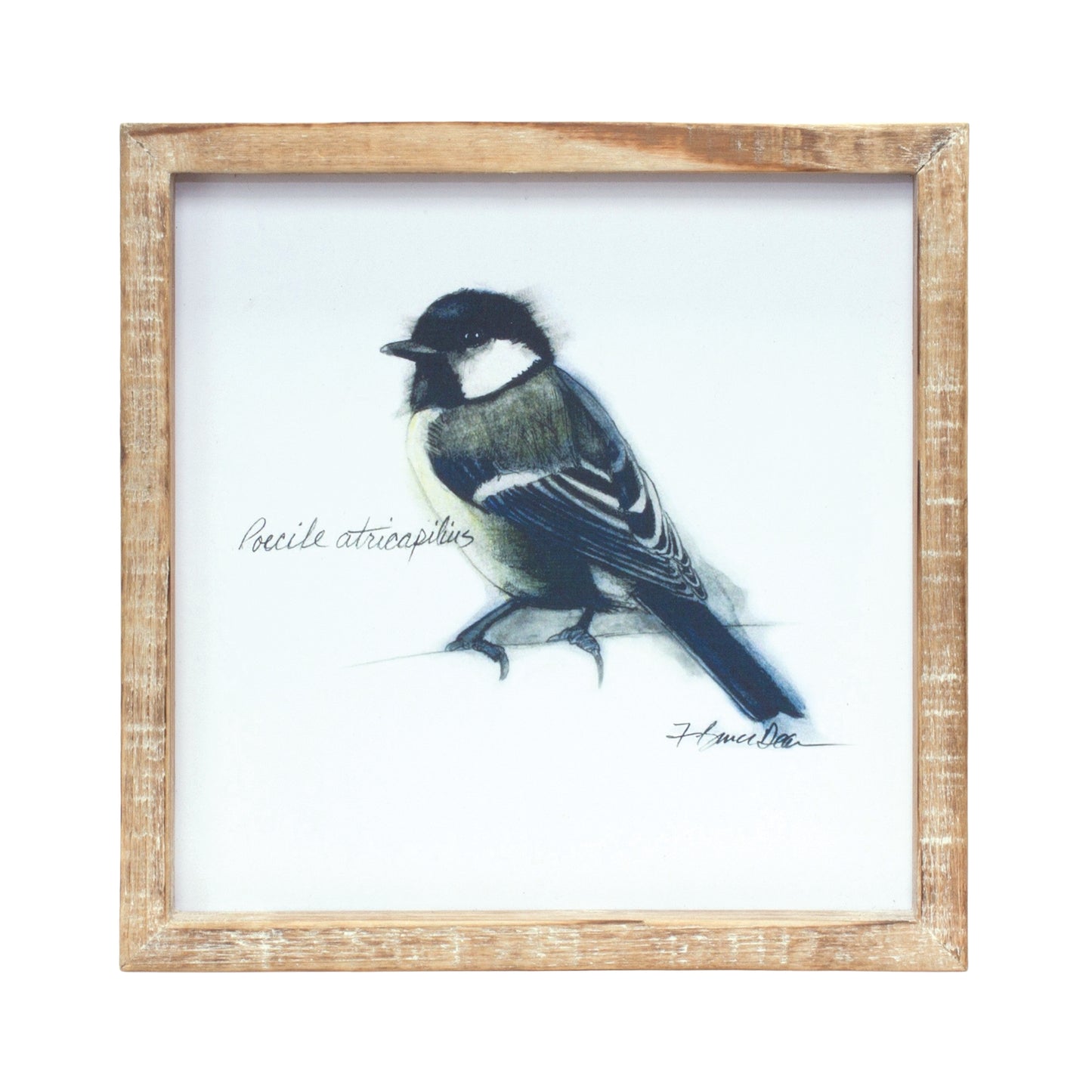 Framed Bird Print (Set Of 4) 9.5"Sq Mdf/Wood