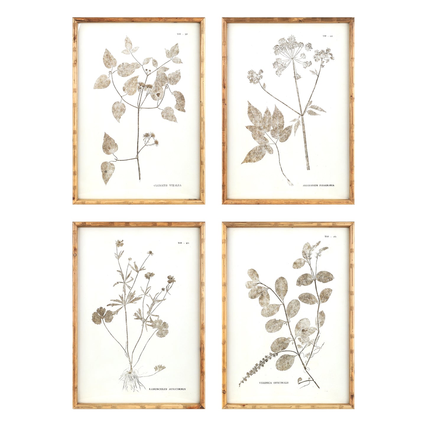 Floral Print (Set Of 4) 19.5"L x 27"H Mdf/Wood/Paper/Glass