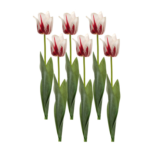 Tulip Stem (Set Of 6) 27"H Polyester/Plastic, Beige, Green