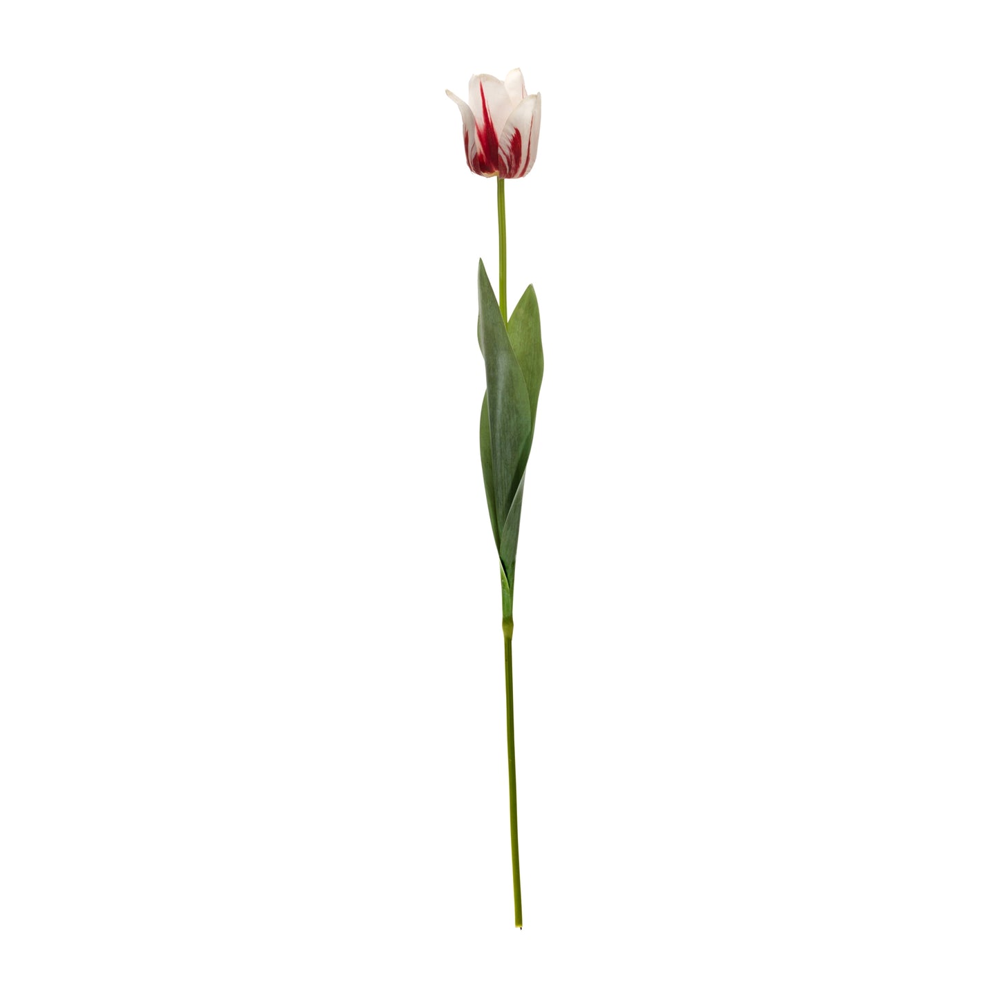 Tulip Stem (Set Of 6) 27"H Polyester/Plastic, Beige, Green