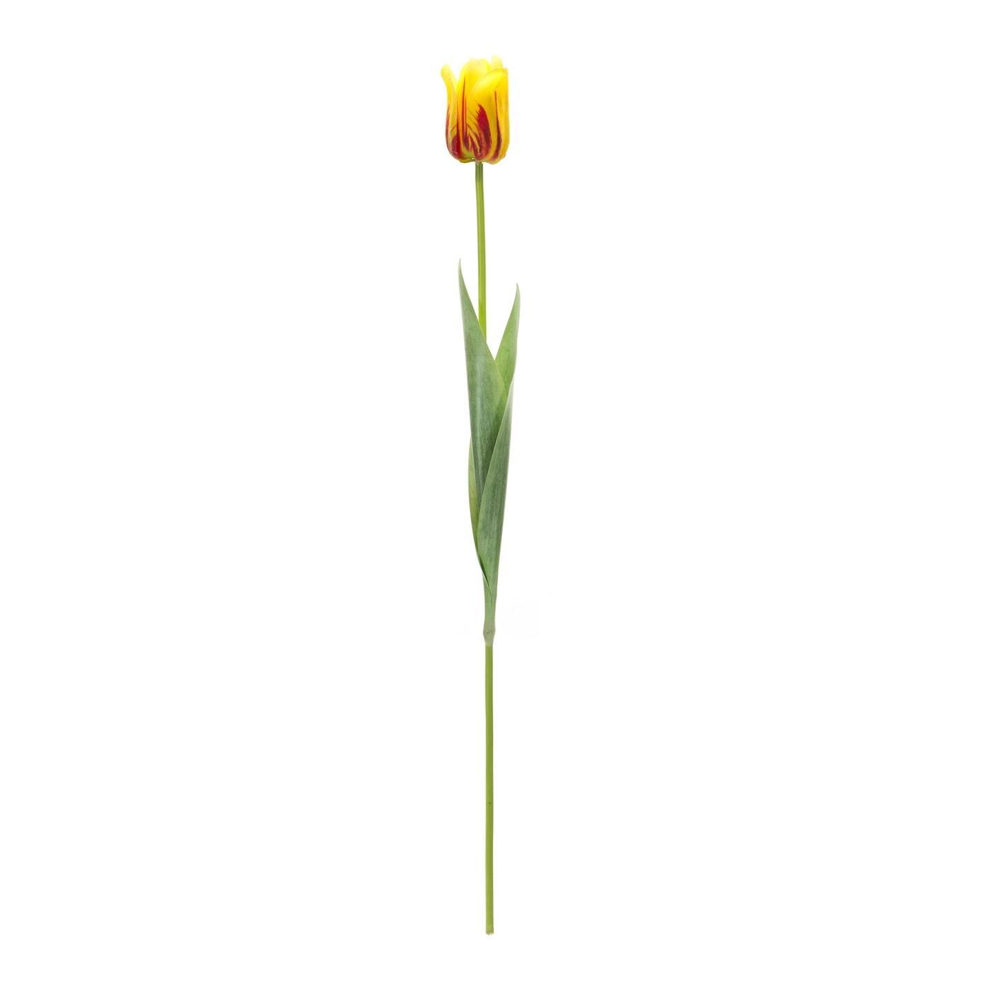 Tulip Stem (Set Of 6) 27"H Polyester/Plastic, Yellow, Green