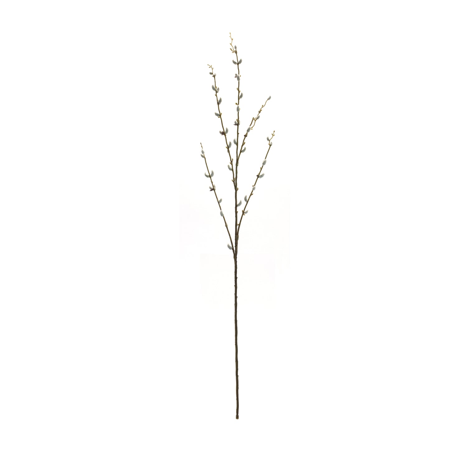 Willow (Set Of 6) 46"H Plastic