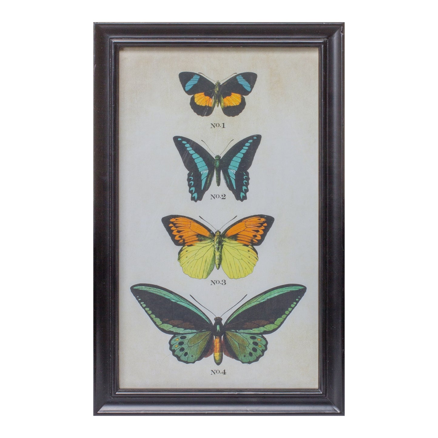 Framed Butterfly Print (Set Of 2) 11.25"L x 18.25"H Wood/Glass