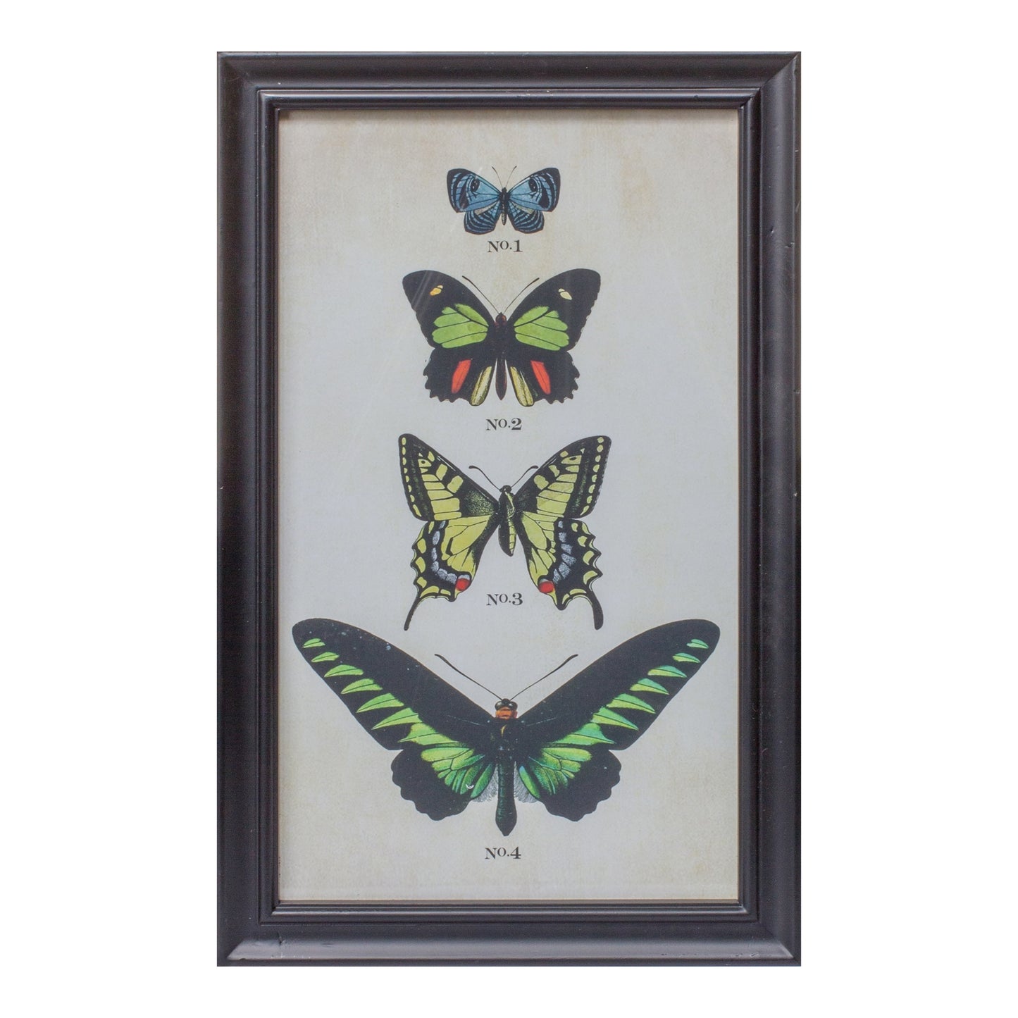 Framed Butterfly Print (Set Of 2) 11.25"L x 18.25"H Wood/Glass